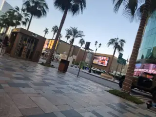 The Noodle House