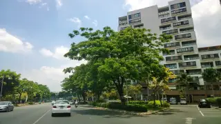 Drigung Kagyu Samten Ling Ho Chi Minh City