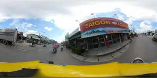 Cay Kieng Hoa Kieng Tung Vinh Phat
