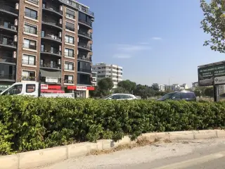 Doç.Dr. Ebru Sevinç OK