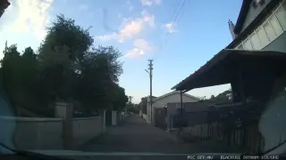 Panda Temizlik Şirketi