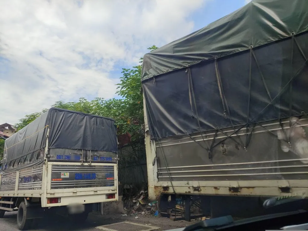 Gà Tươi Mạnh Hoạch