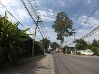 มิวซาลอน