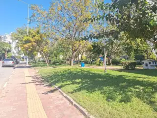 Mandorla Buzlubadem