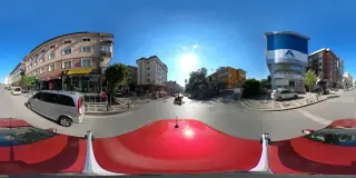 Tavuk Fakültesi