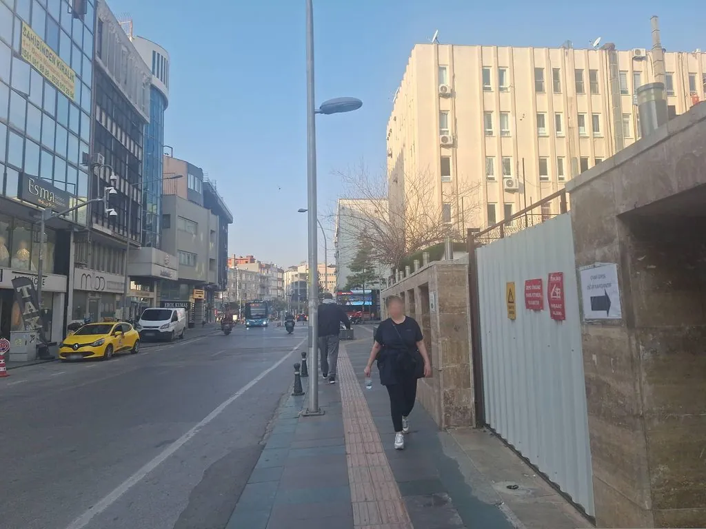Anemon vize-bakicilik danişmanliği