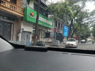 Vịt cỏ vân đình