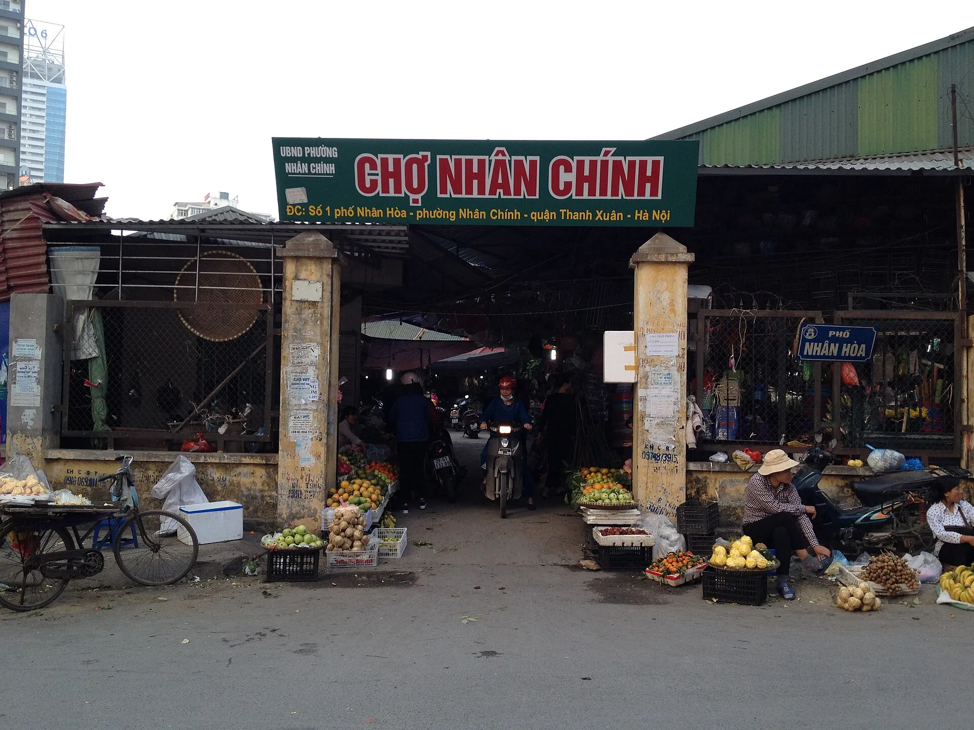 Đảo Chè - Chè Sạch Vị Ngon - Nhân Hòa