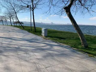 Love Garden