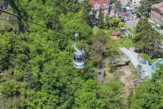 Borjomi Plato • Borjomi P'lat'o — รูปที่ 4