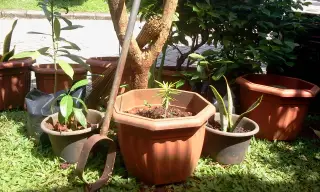 Cibubur Villa