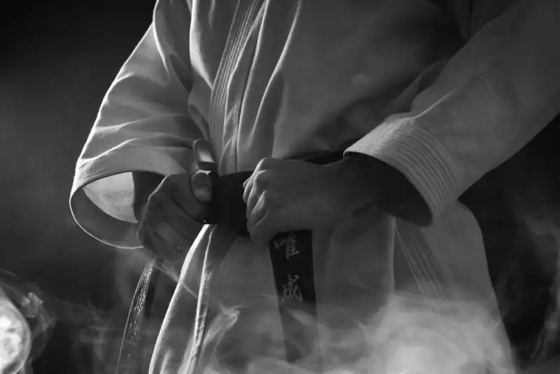 Бокс, ММА и BJJ