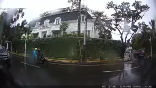 Ayam Malaya