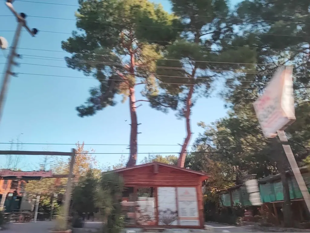 Turuncu Park Eğlence Merkezi