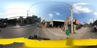 Ốc Tự Nhiên 2