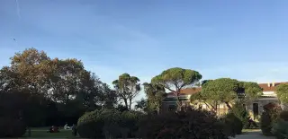 Boğaziçi Üniversitesi Bebek ve Çocuk Gelişimi Laboratuvarı
