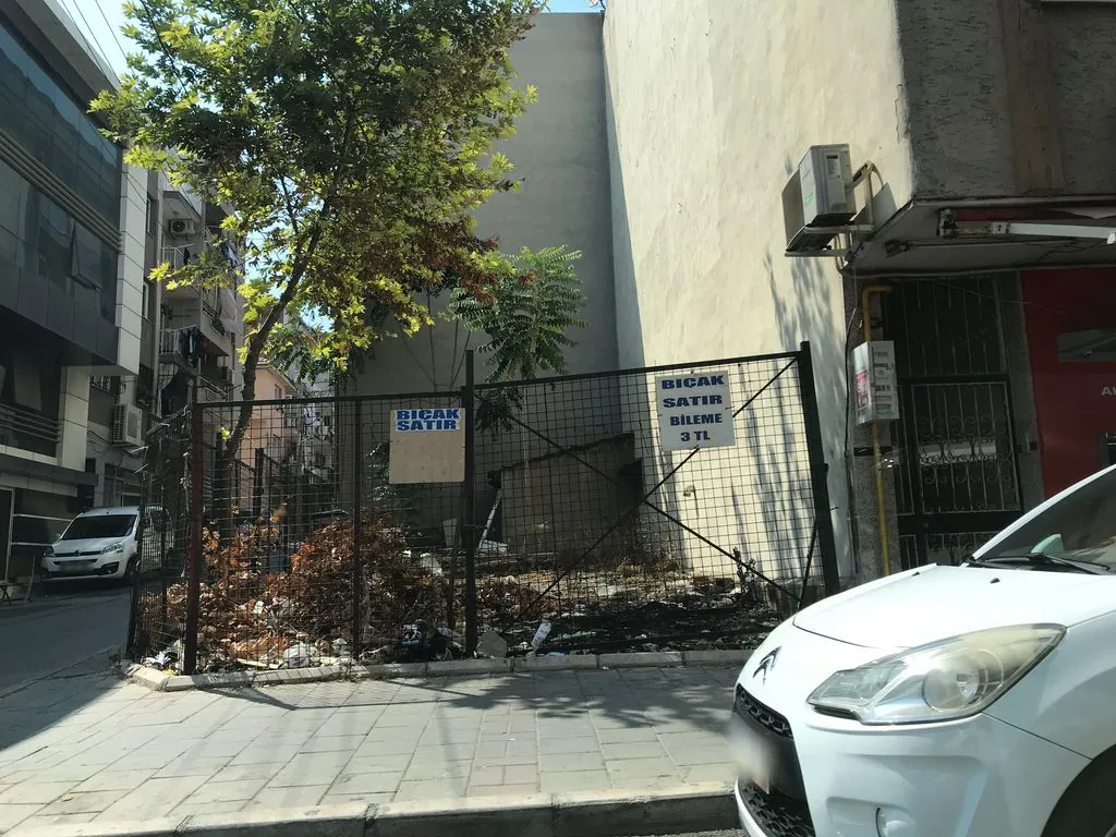 Erisen Un Dunyasi