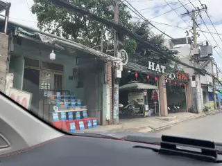 The Bug Coffee