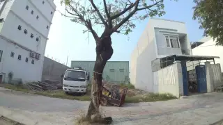 Đồ Gỗ Đà Nẵng - Mộc Vũ Long
