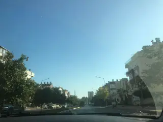 Alp Veteriner Kliniği