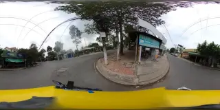 Cầy tơ phú thọ