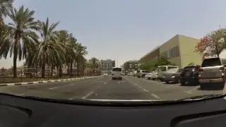 Wings Tours Gulf