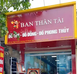 Thể Thao Đường Phố - Shop Giày Patin, Ván Trượt Scooter.