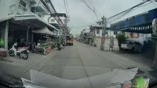 Tiger wash