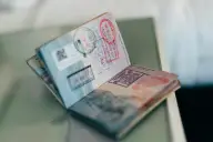 Визы
