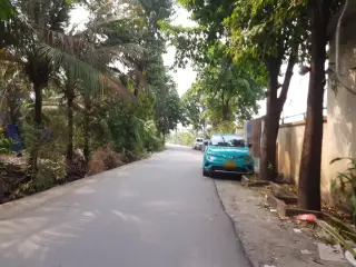 CÂY KiỂNg ThẠNh XuÂN