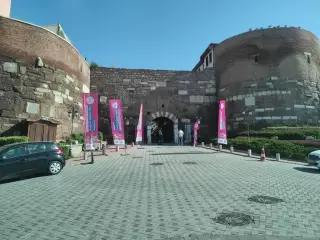 Gaveci