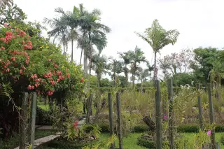 Galaxion Tattoo Bali — photo 4