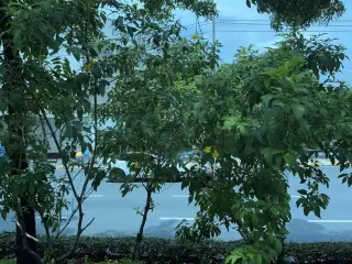 Khaw Hmudaeng Heiy Hning