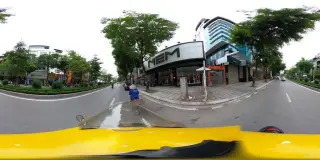 Long Dừa