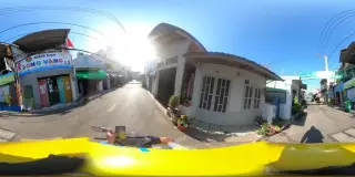 Mầm Non Ong Vàng