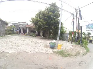 Warkop Putih Sejati