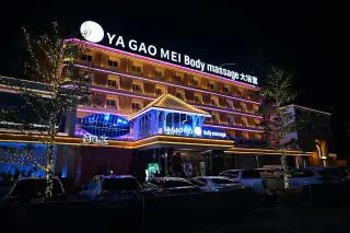 Night wish bar