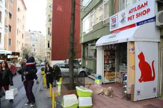 Jeff İstanbul