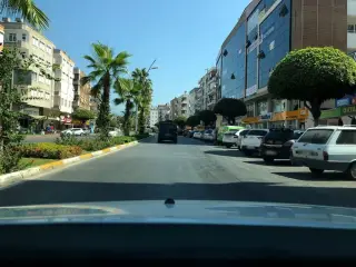Ozsut