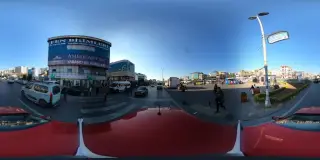 Sağdıçlar Balık Ye