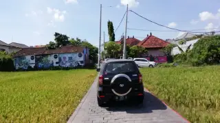 Chaos House