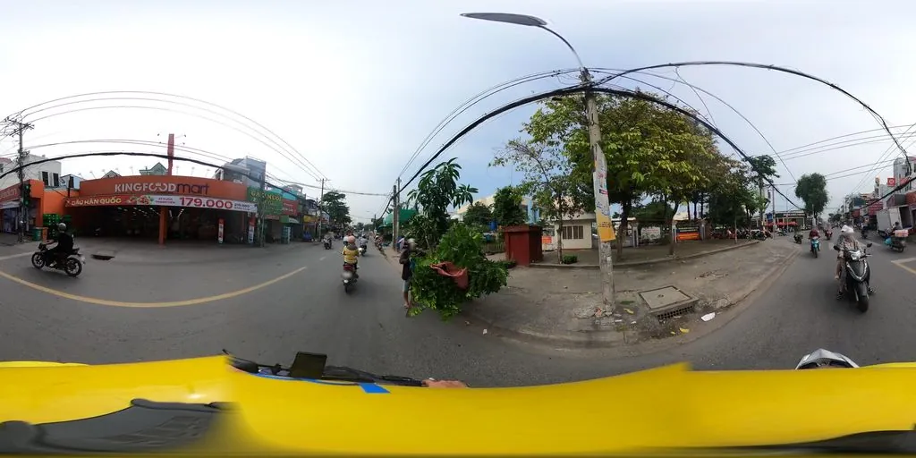 Vi Tinh Linh Ngoc