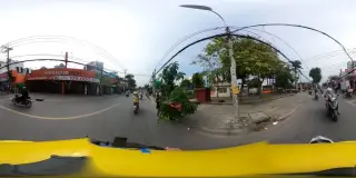 Vi Tinh Linh Ngoc