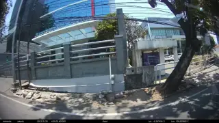 Patella