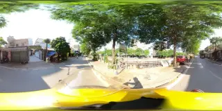 Canh Cá Quỳnh Côi- Phú Gia