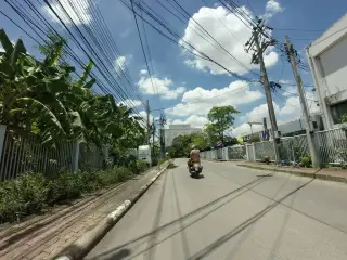 คาเฟ่ อเมซอน