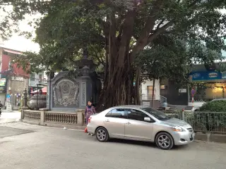 Vườn rau nhà minh