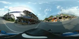Lucky Elephant