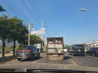 ร้านมองดอย