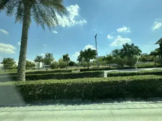 Dr Stefan Chiropractor Dubai
